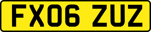 FX06ZUZ