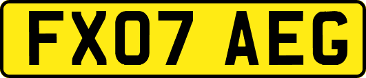 FX07AEG