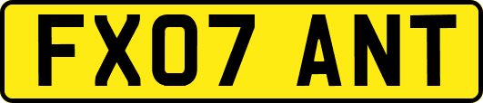 FX07ANT