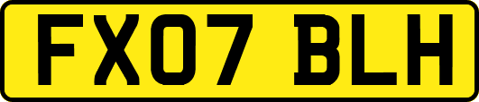FX07BLH