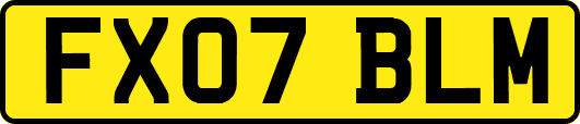 FX07BLM