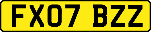 FX07BZZ