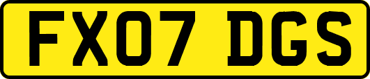 FX07DGS