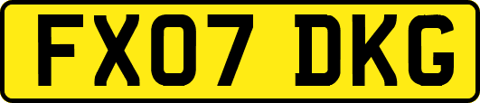 FX07DKG