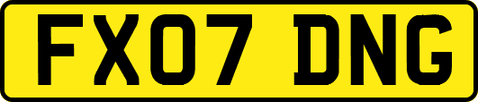 FX07DNG