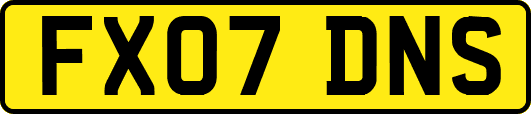 FX07DNS