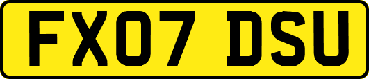 FX07DSU