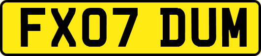 FX07DUM