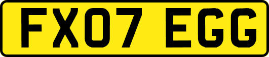 FX07EGG