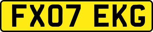 FX07EKG