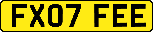 FX07FEE