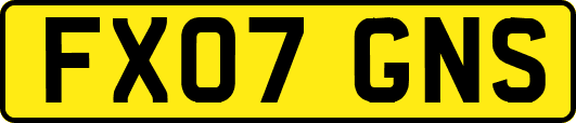 FX07GNS