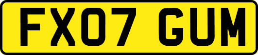 FX07GUM