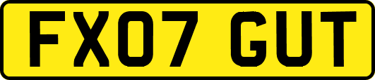 FX07GUT