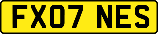 FX07NES