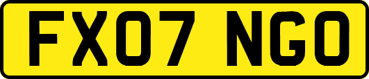 FX07NGO