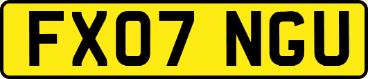 FX07NGU