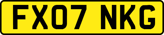 FX07NKG