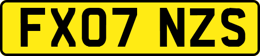 FX07NZS