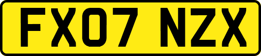 FX07NZX