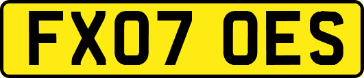 FX07OES