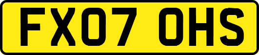 FX07OHS