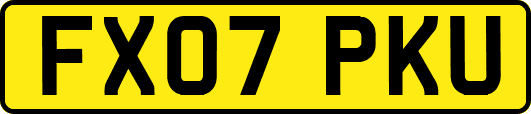 FX07PKU