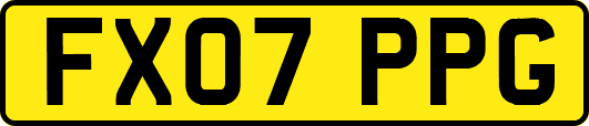 FX07PPG