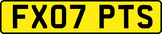 FX07PTS