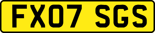 FX07SGS