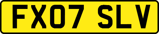 FX07SLV