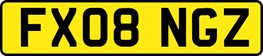 FX08NGZ