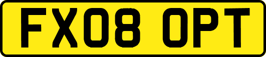 FX08OPT