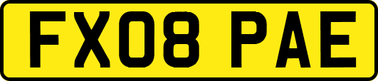 FX08PAE