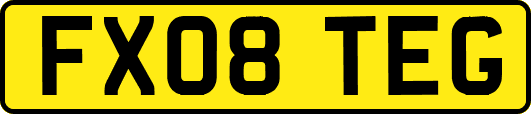 FX08TEG