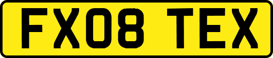 FX08TEX