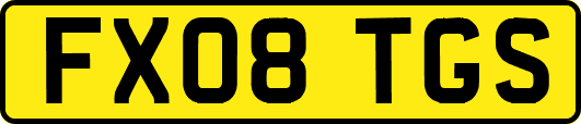 FX08TGS