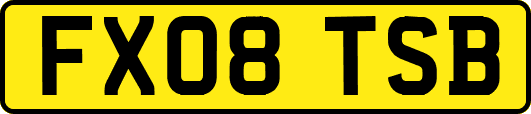 FX08TSB