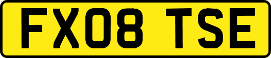 FX08TSE