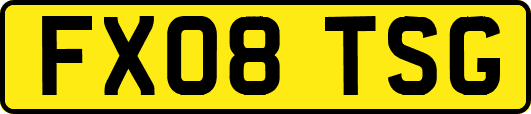 FX08TSG