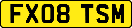 FX08TSM