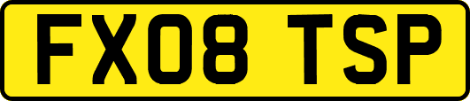 FX08TSP