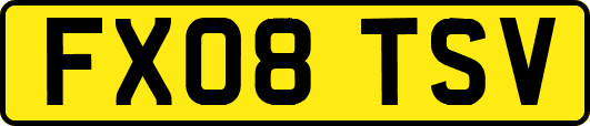 FX08TSV