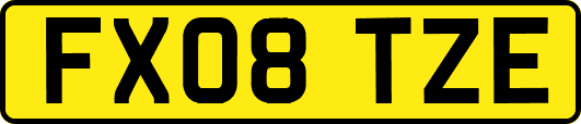 FX08TZE