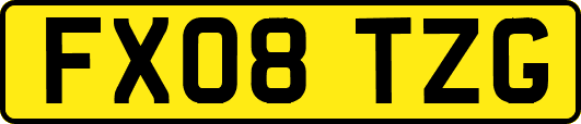FX08TZG