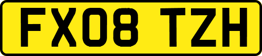 FX08TZH