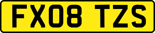 FX08TZS