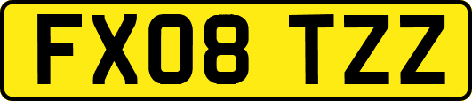 FX08TZZ