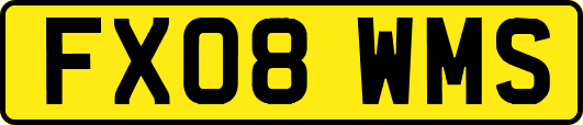 FX08WMS