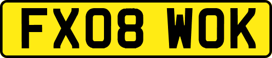 FX08WOK